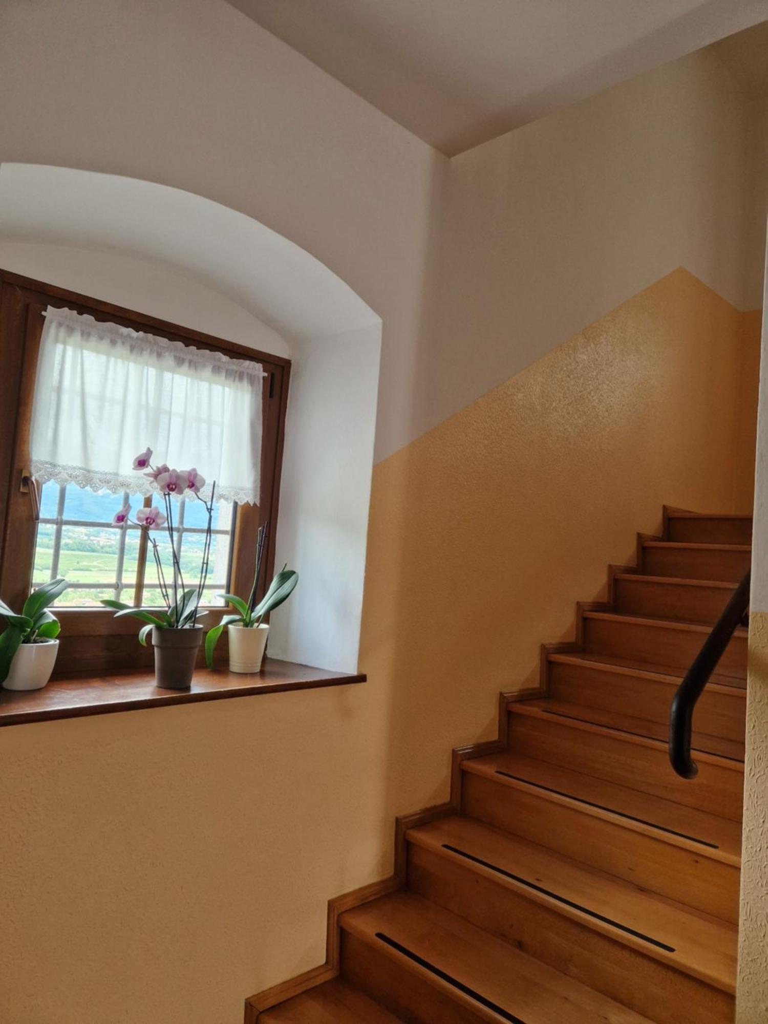 Apartma In Soba Vipavski Kriz Ajdovščina Exteriér fotografie